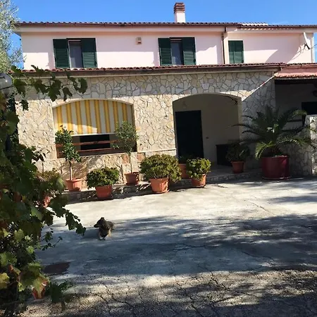 Monica 4*
