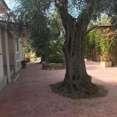 Lägenhetshotell Monica