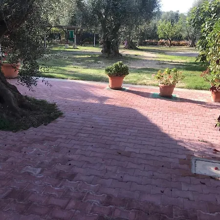 Lägenhetshotell Monica 3*